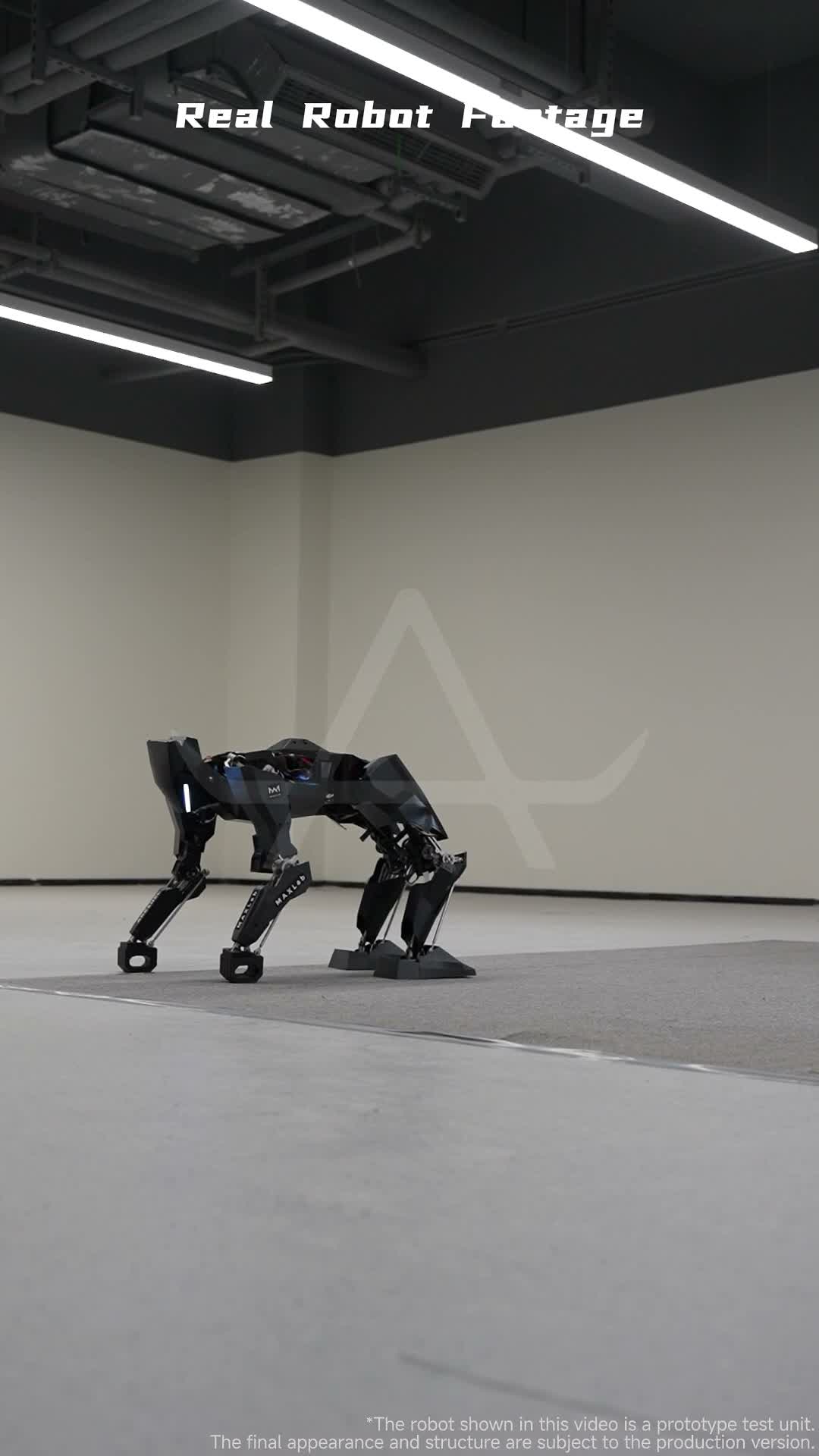 MX01 prototype walking on four legs indoors