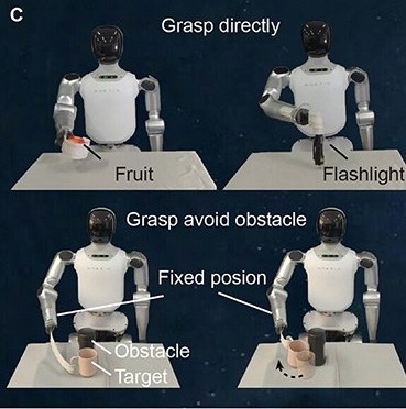 Humanoid robot using BioflexBot to grasp fruit and a flashlight