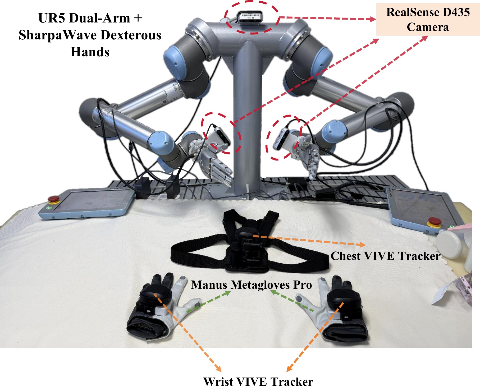 UR5 dual-arm rig with SharpaWave hands, RealSense cameras, and Manus Metagloves on the table