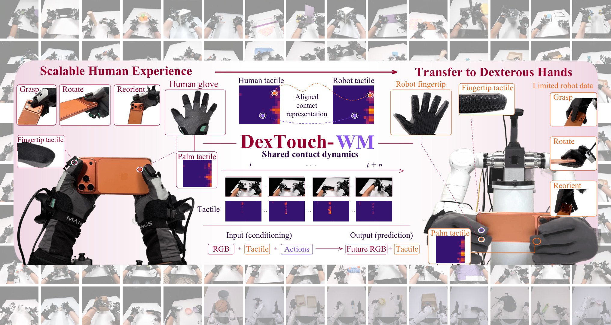 Human wearing tactile gloves holding a phone next to a robot hand with matching fingertip pads