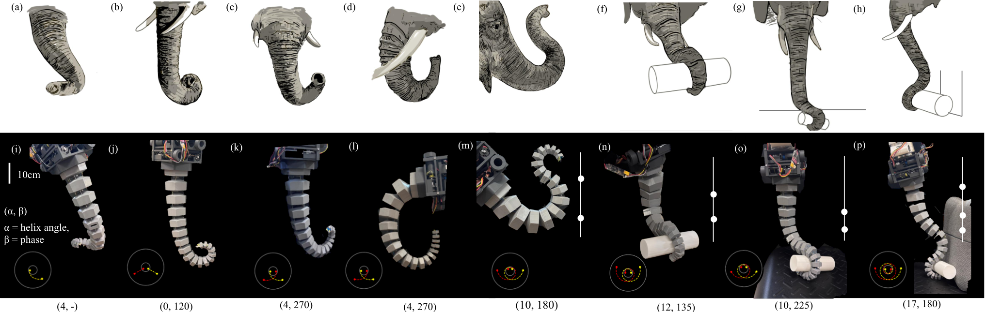 Top row of elephant trunk postures; bottom row of a segmented cable robot matching curls, S-bends, and wraps around a cylinder