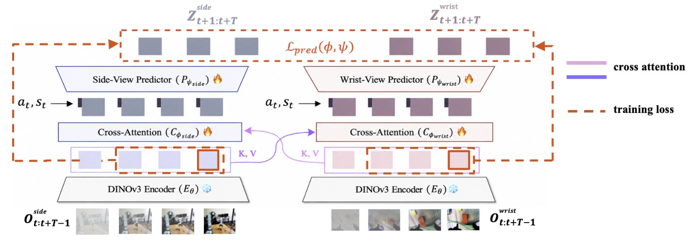 DUET-DINO architecture with side and wrist encoders, cross-attention, and predictors