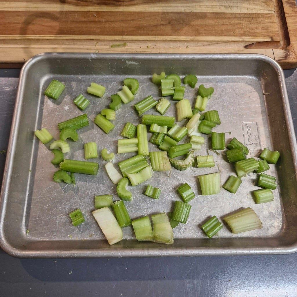 Chopped celery tray from Dyna-2 WAM run