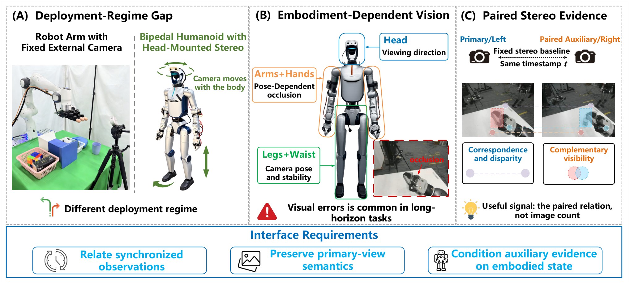 Diagram comparing a fixed-camera arm to a biped with head-mounted stereo and paired-view occlusion