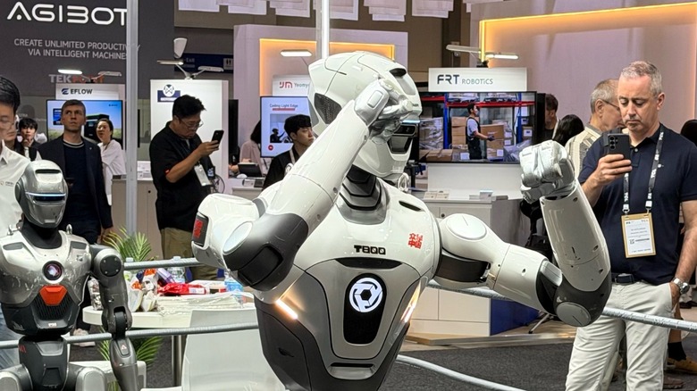 EngineAI T800 humanoid in a fight-ring pose at IFA 2026