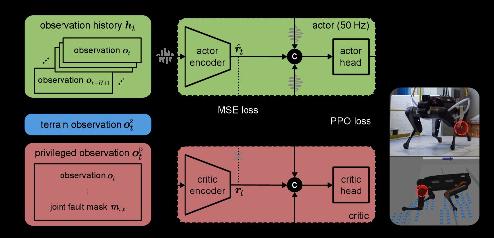 Asymmetric actor-critic architecture for fault-tolerant locomotion