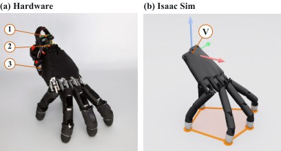 Hardware photo of the WUJI hand with dorsal compute pack next to its Isaac Sim model