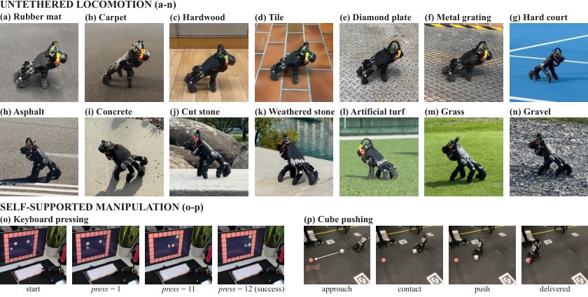 Photo grid of a black anthropomorphic hand crawling on fourteen surfaces and pressing a keyboard