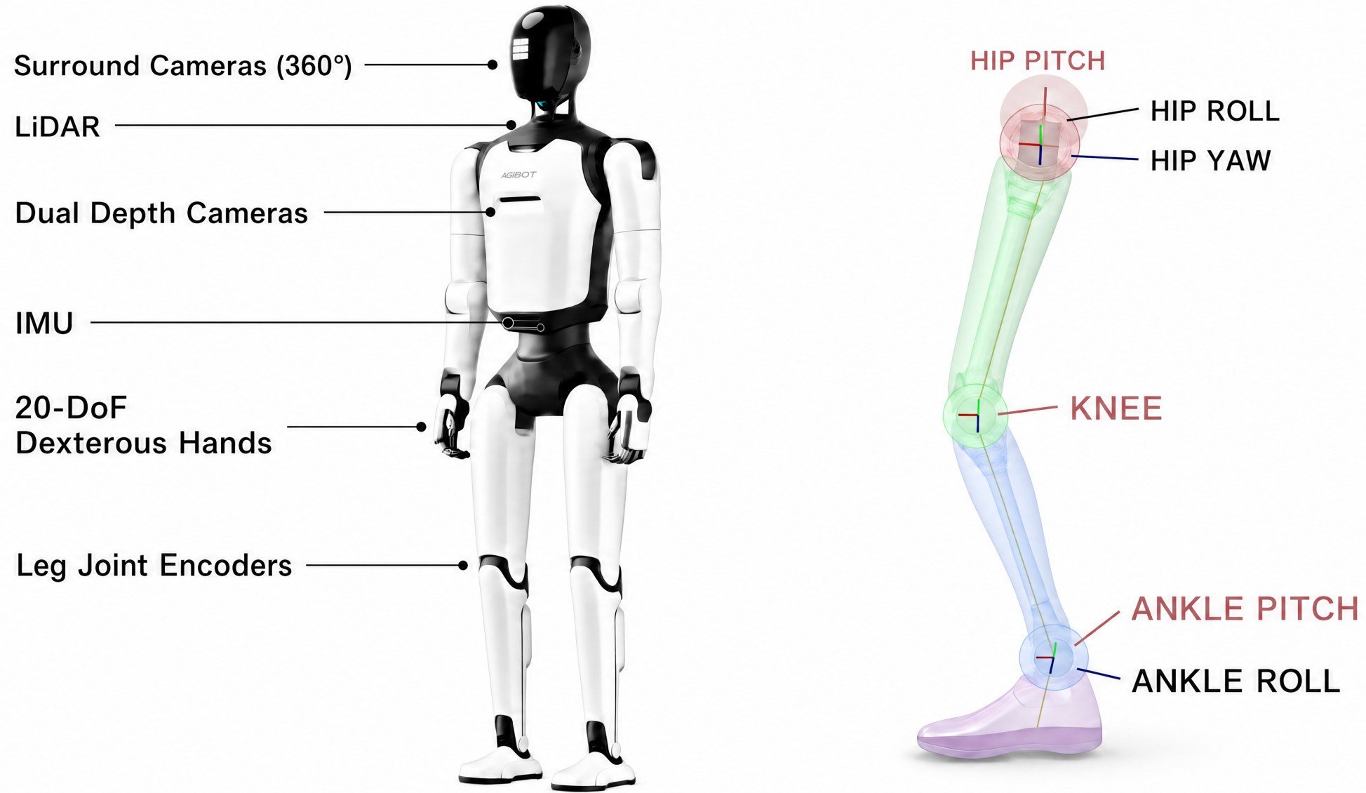 AgiBot A3 Ultra humanoid with sensor callouts and a labeled lower-limb kinematic diagram