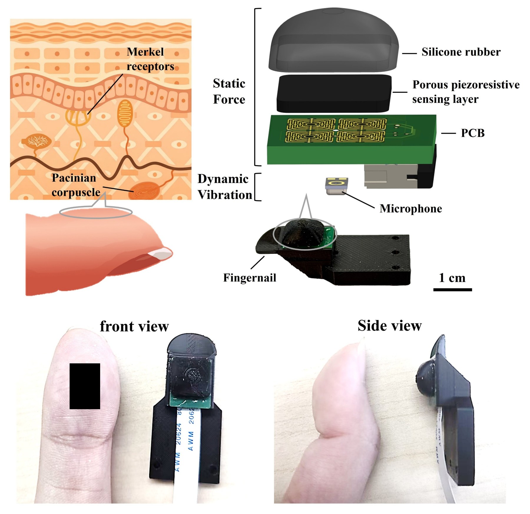 Multimodal haptic fingertip sensor design