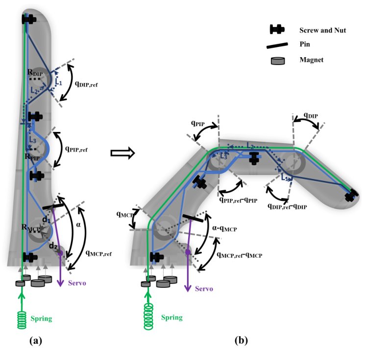 Figure-eight tendon routing on an H-PAC finger from extension to flexion