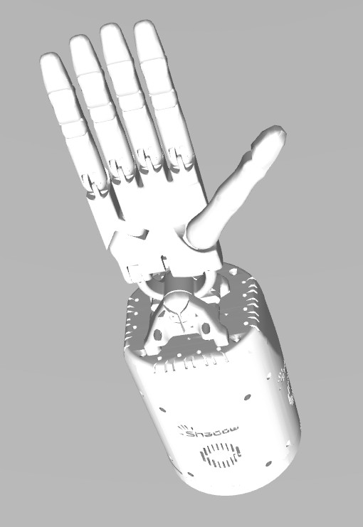 Simulated Shadow Dexterous Hand with five fingers and a cylindrical forearm housing