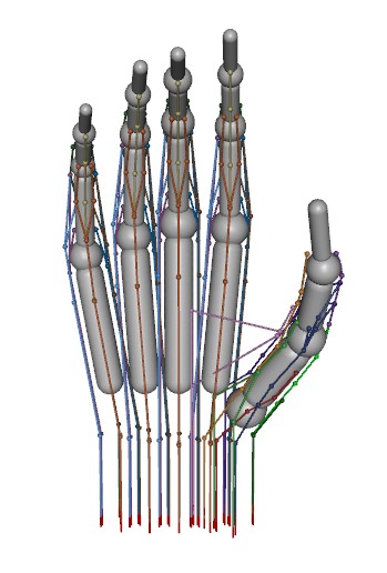 ACBH simulated hand with tendon routing drawn as colored lines through the fingers