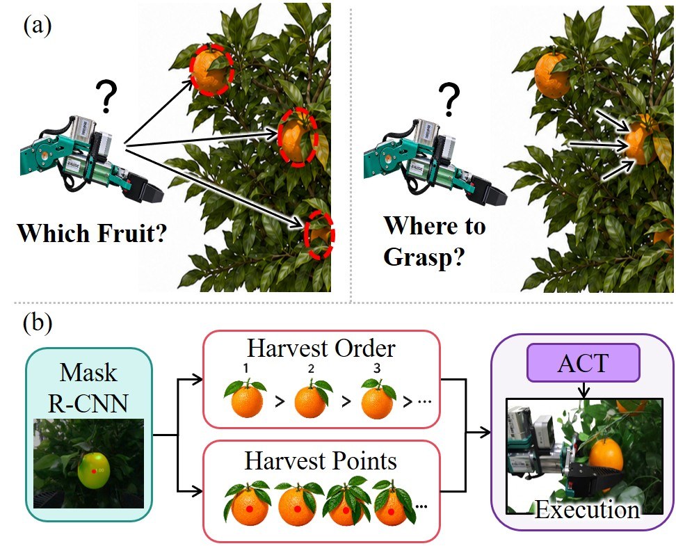 Diagram of which-fruit versus where-to-grasp, then Mask R-CNN into ACT