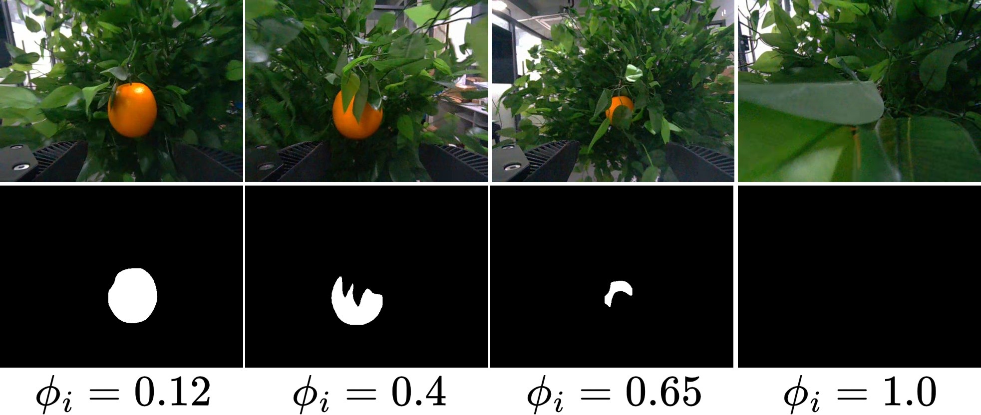 Wrist-camera views with occlusion index overlaid on fruit masks