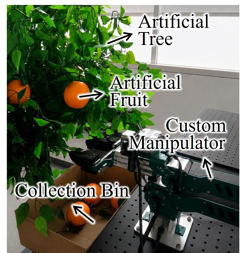 Custom manipulator, artificial citrus tree, and a cardboard collection bin of oranges