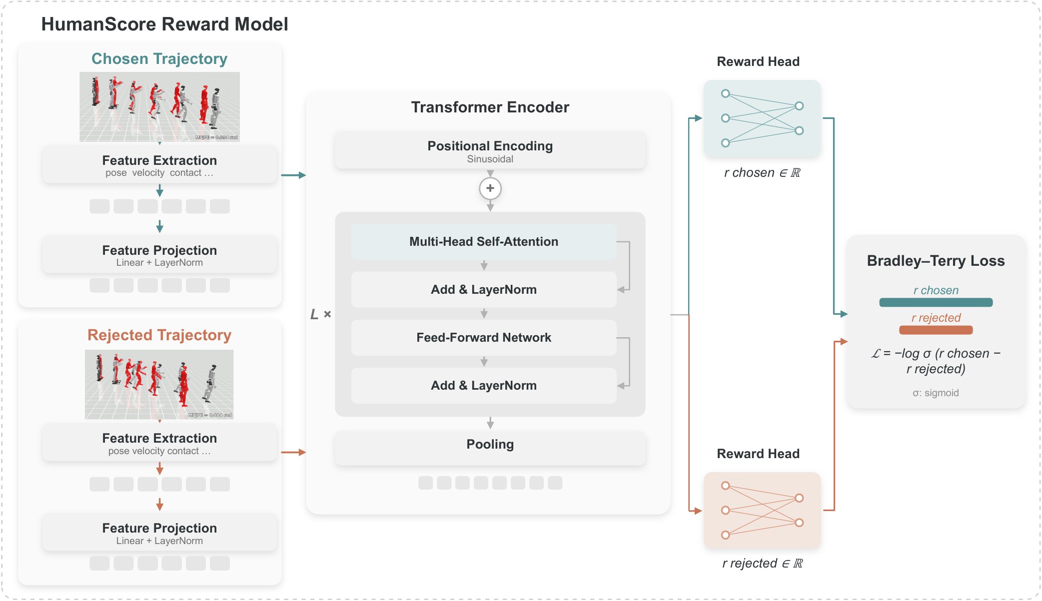 HumanScore architecture with temporal Transformer and Bradley-Terry loss