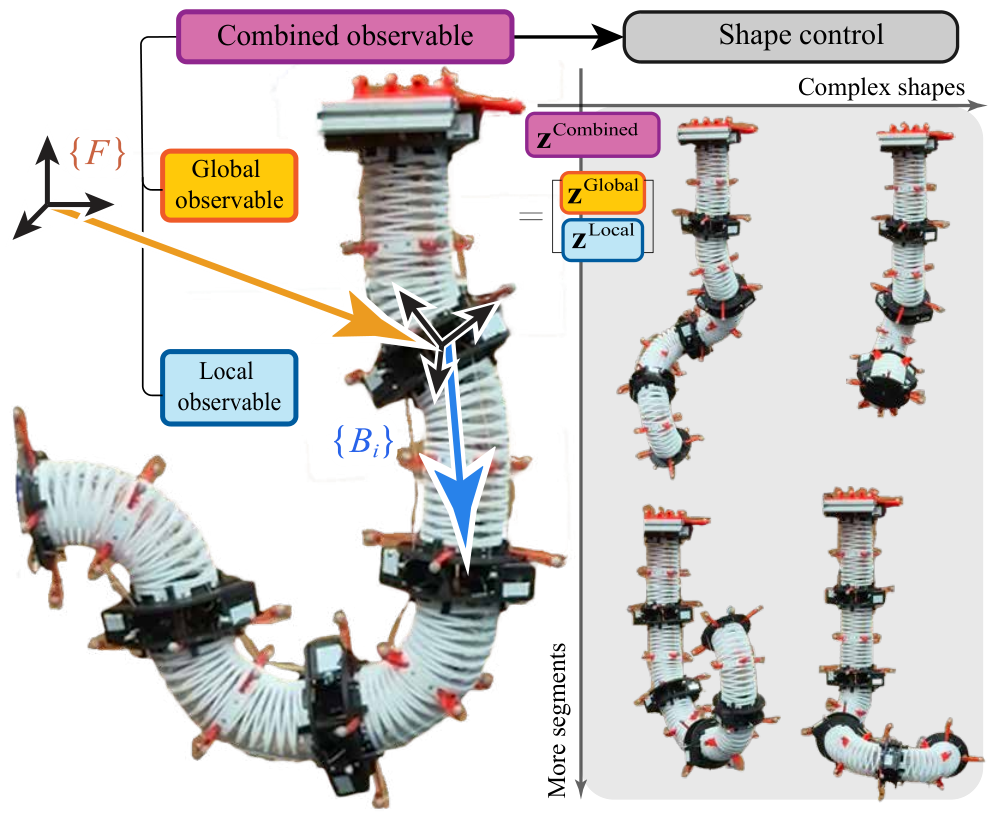 Cable-driven multi-segment soft arm with global and local observable overlays and several bent shapes