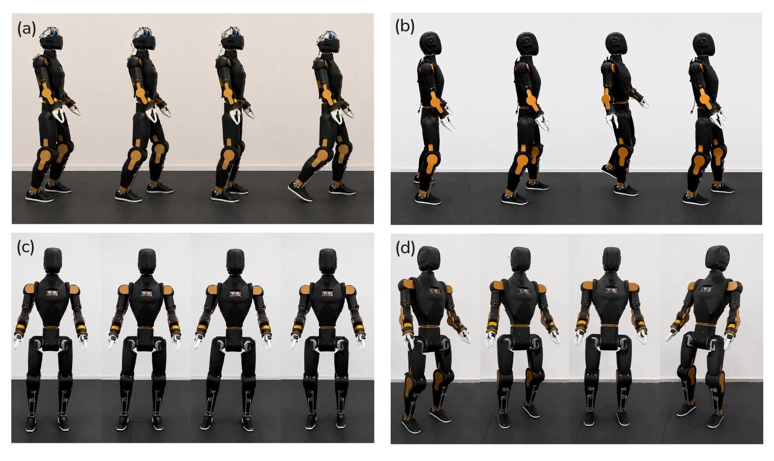 Four panels of the black-and-gold Asimov 1 humanoid walking forward, backward, sideways, and turning