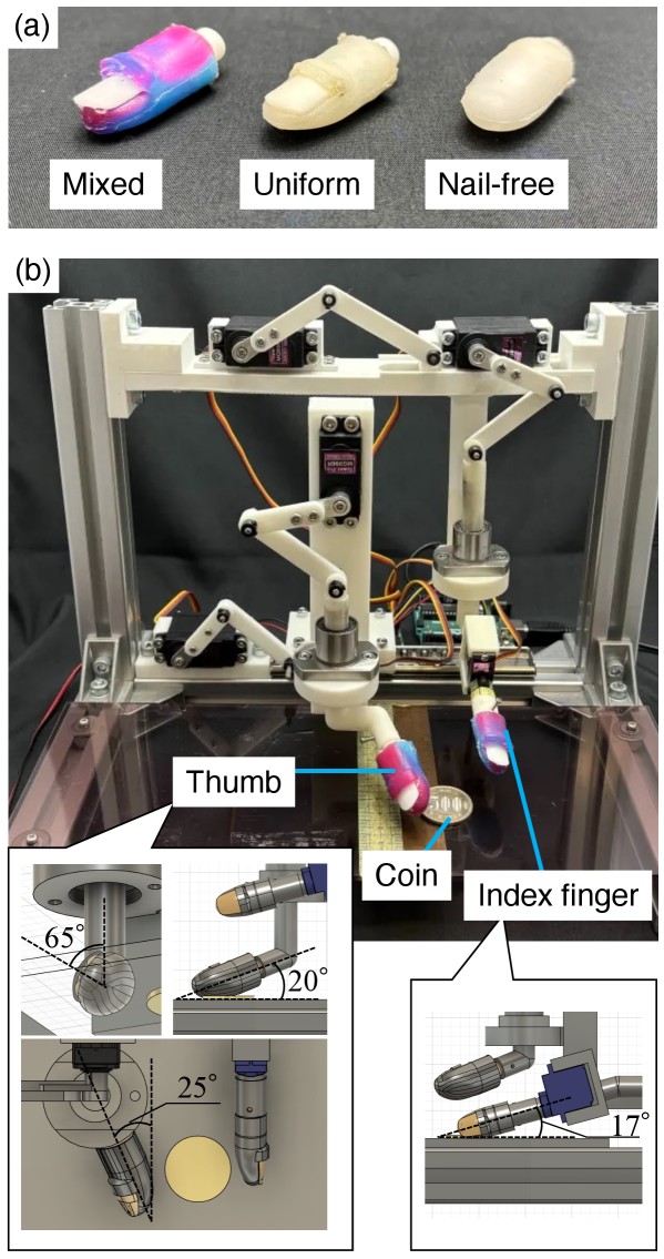 Mixed, uniform, and nail-free fingertip designs plus test apparatus