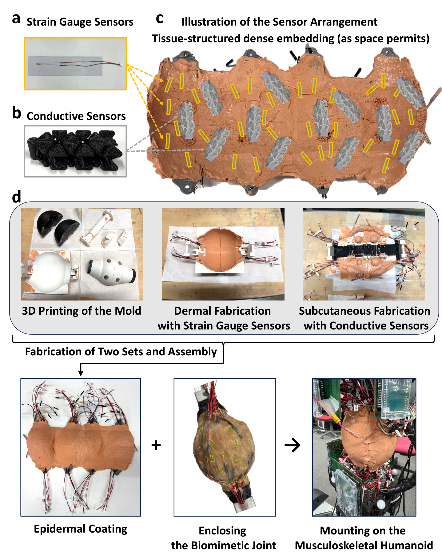 Fabrication steps for the biomimetic joint skin, from mold to mounted elbow