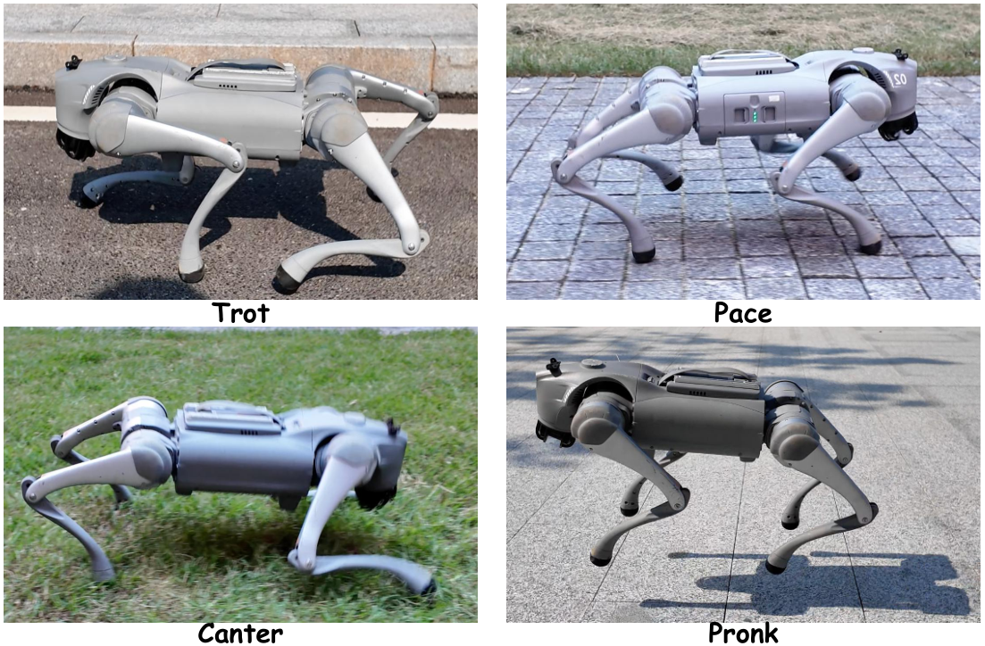 Unitree Go2 in four outdoor poses labeled Trot, Pace, Canter, and Pronk