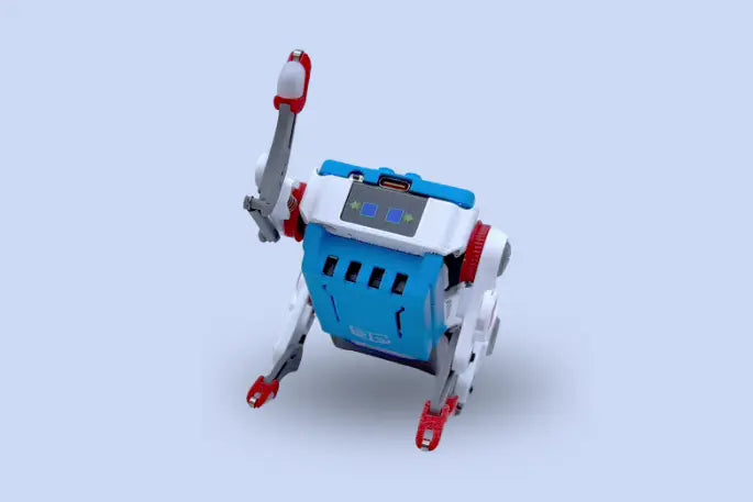 Quaddle standing with one front leg raised