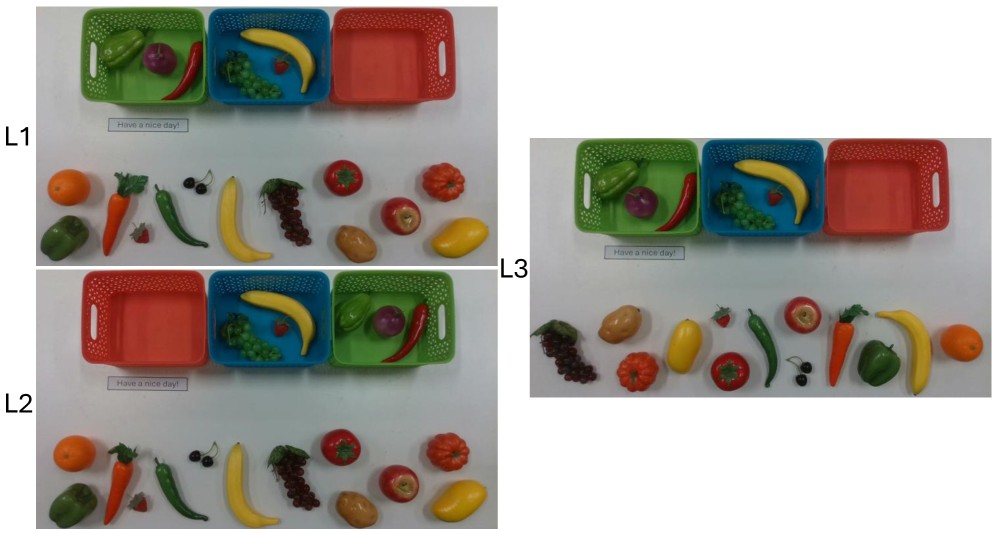 Taxonomy or result figure for physical prompt injection attacks