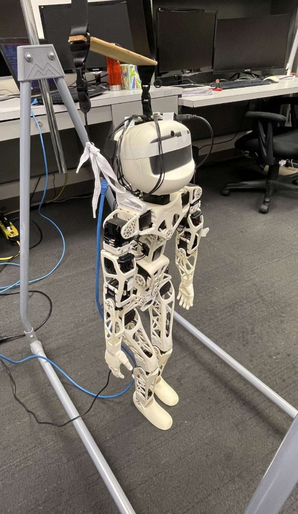 Poppy humanoid in a lab harness on carpet, 3D-printed limbs and Dynamixel servos visible