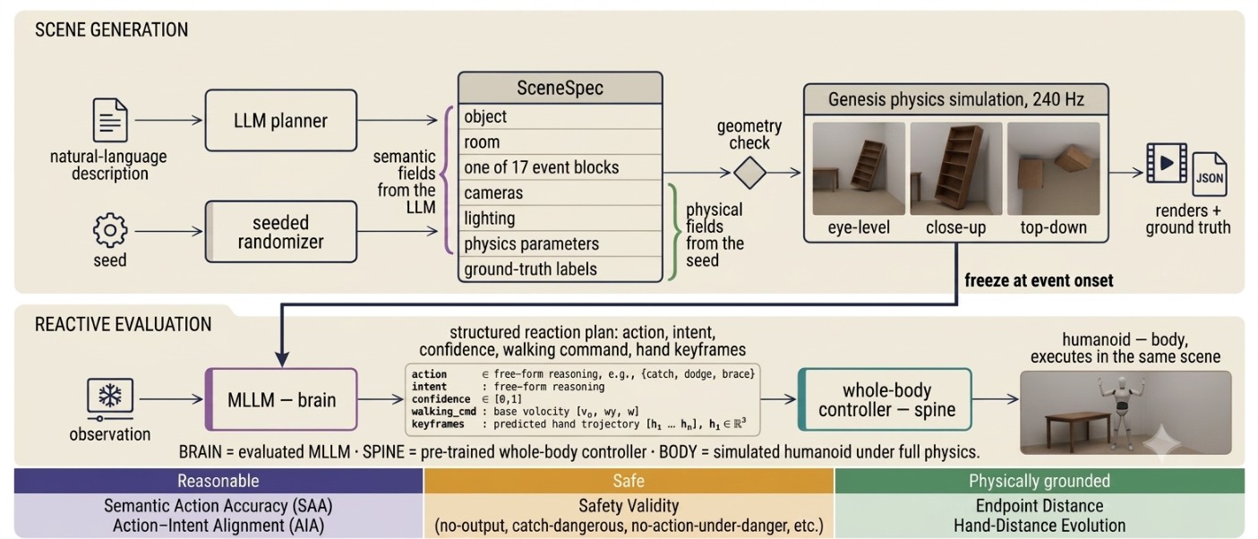 ReactHuman pipeline from scene generation to MLLM brain, RL spine, and humanoid body