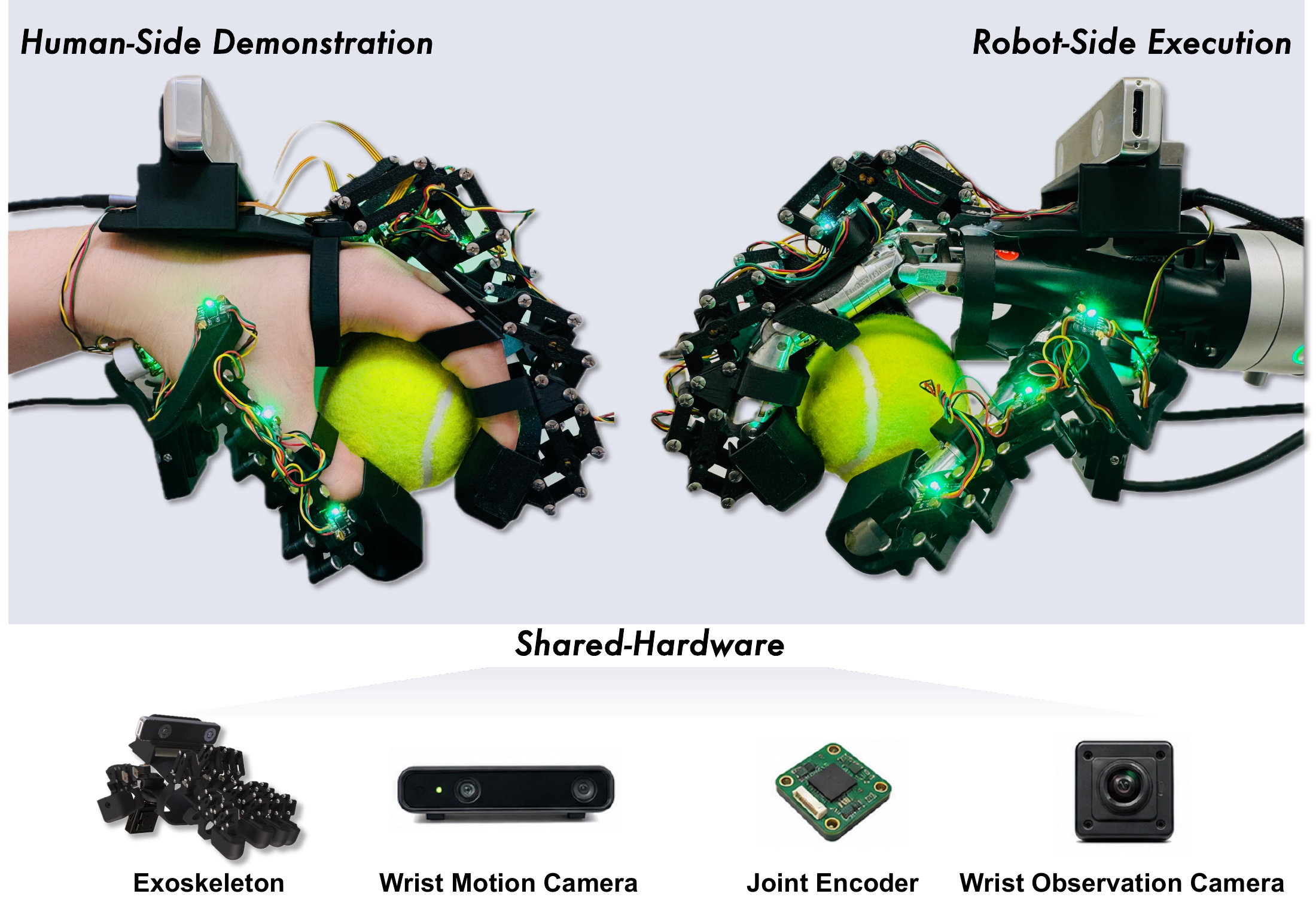 Human hand and Wuji robot hand wearing the same SEED-UMI exoskeleton while holding a tennis ball