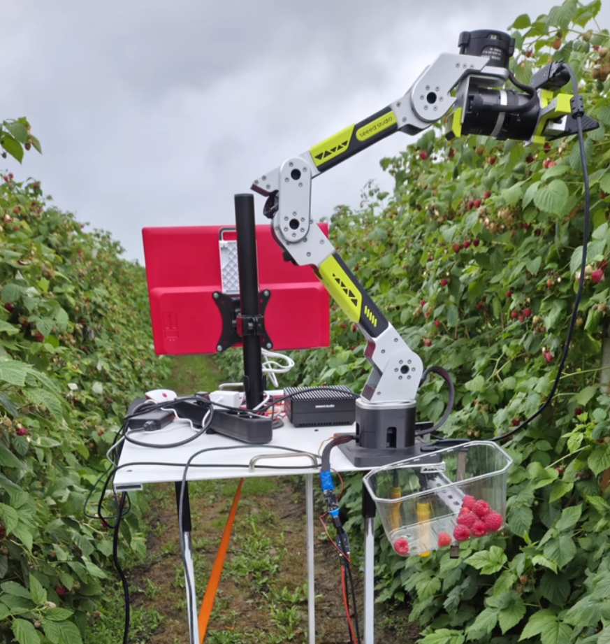 reBot arm grasping fruit in a community demo