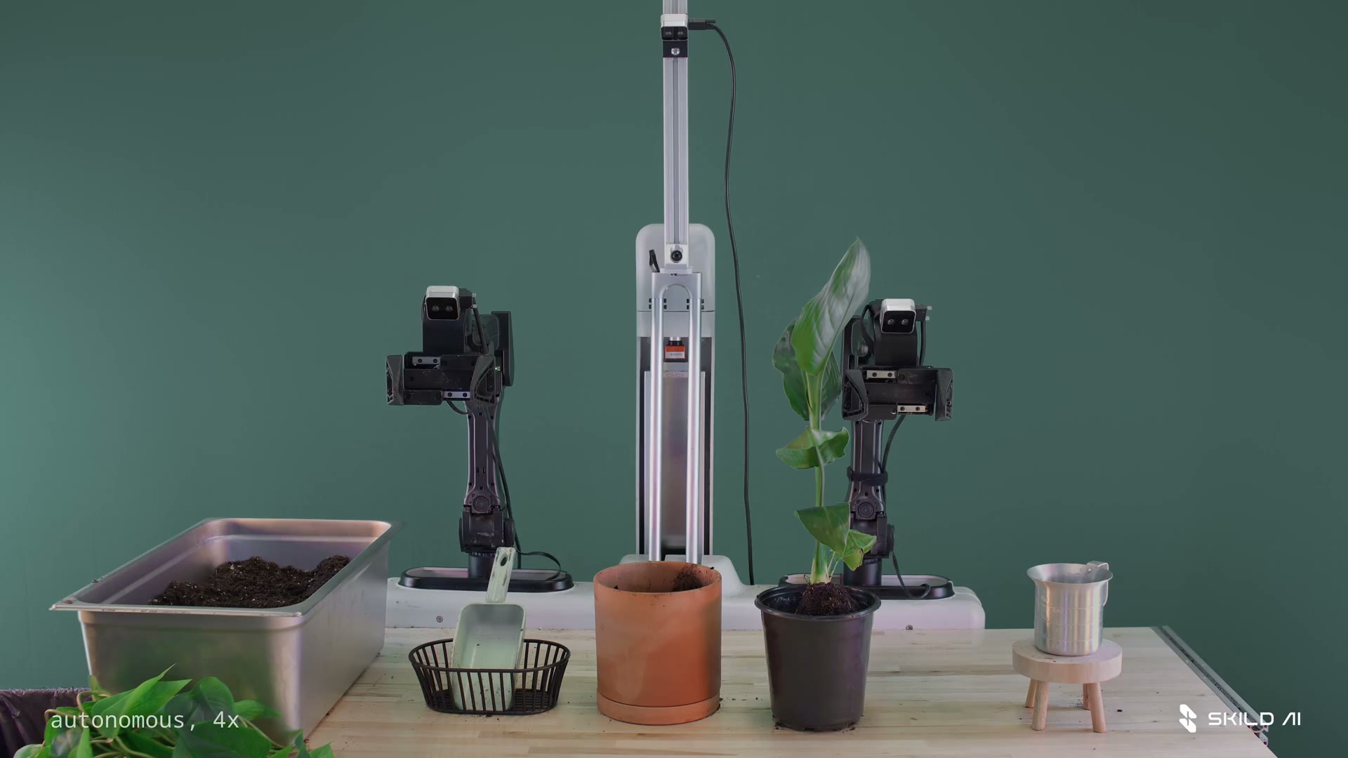 Dual robot arms at a plant-potting station with soil bin, pots, and a leafy plant