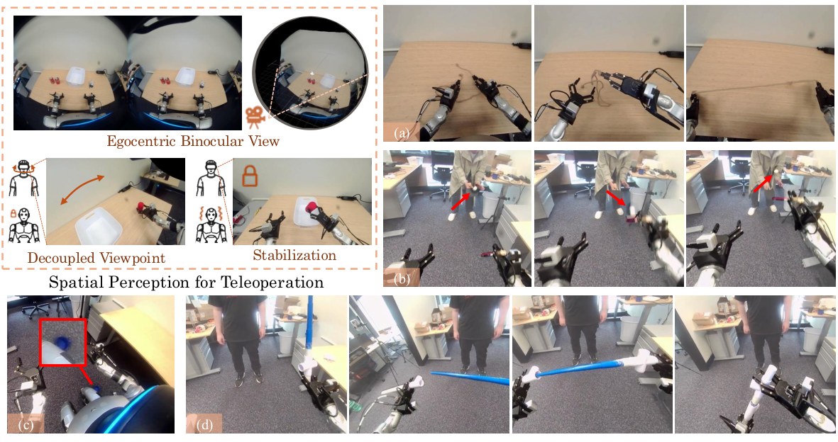 SPOT teaser: binocular fisheye view, decoupled looking, knot tying, ping-pong intercept, drop recovery, and large-workspace bimanual work