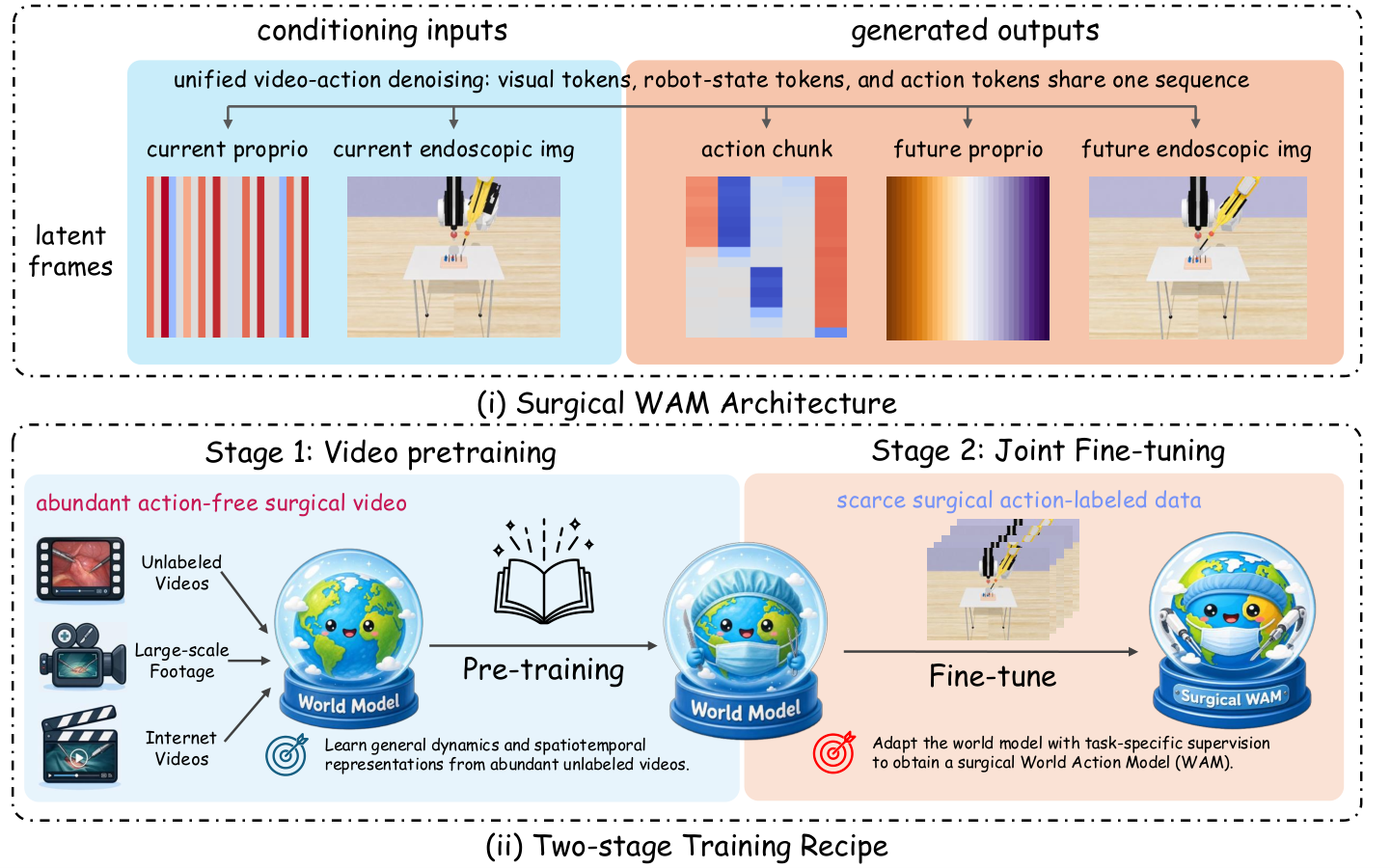 Surgical WAM architecture and two-stage video-then-action training diagram