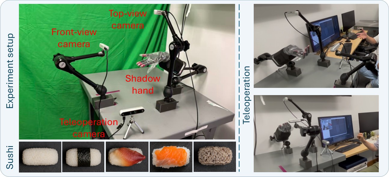 Labeled lab setup with Shadow Hand, three cameras, green screen, sushi samples, and a person teleoperating