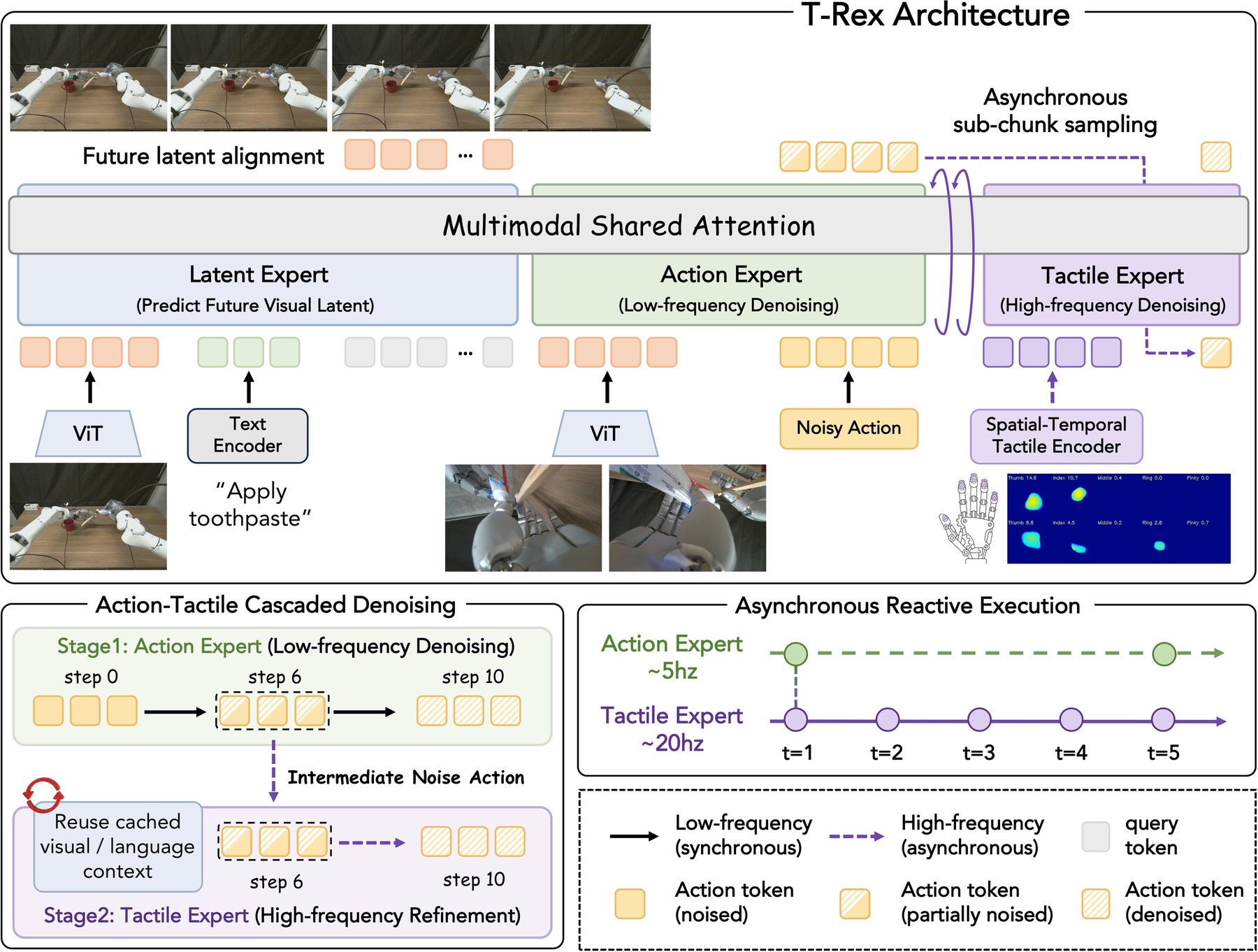 T-Rex architecture with toothpaste demo, tactile expert, and 5 Hz vs 20 Hz clocks
