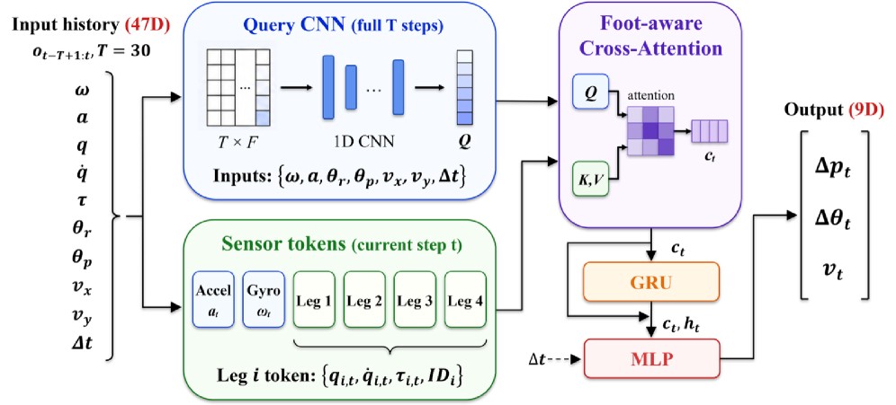 TRACE network architecture with foot-aware cross-attention