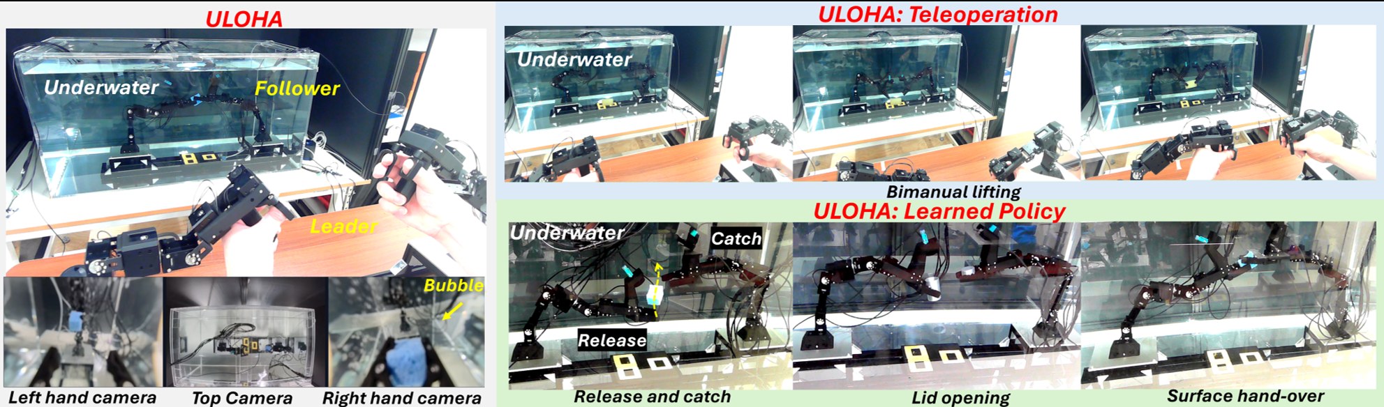 ULOHA tank with dry leader arms and underwater followers doing teleop and learned catch, lid, and sponge hand-over