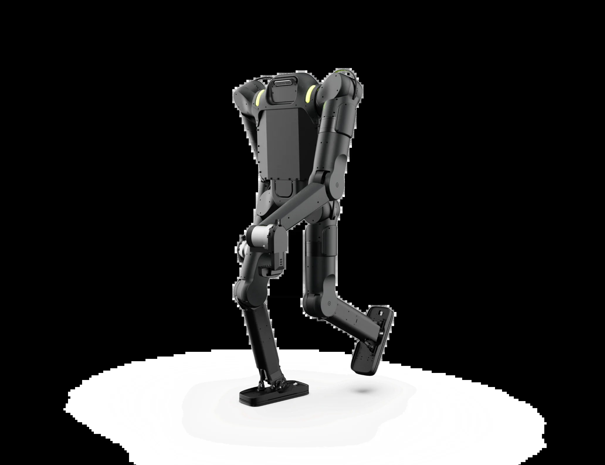 Rear three-quarter view of Calvin-40 showing wide footpads and compact torso