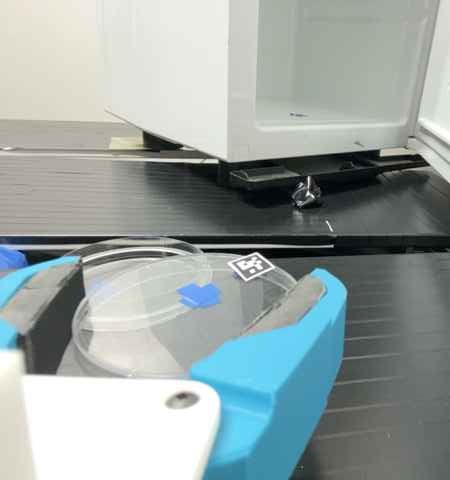Blue Piper gripper holding a Petri dish lid on a lab bench