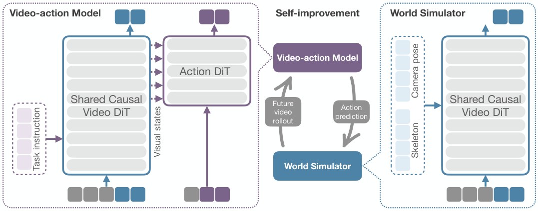 Architecture diagram of a shared causal video transformer feeding an action model and a world simulator