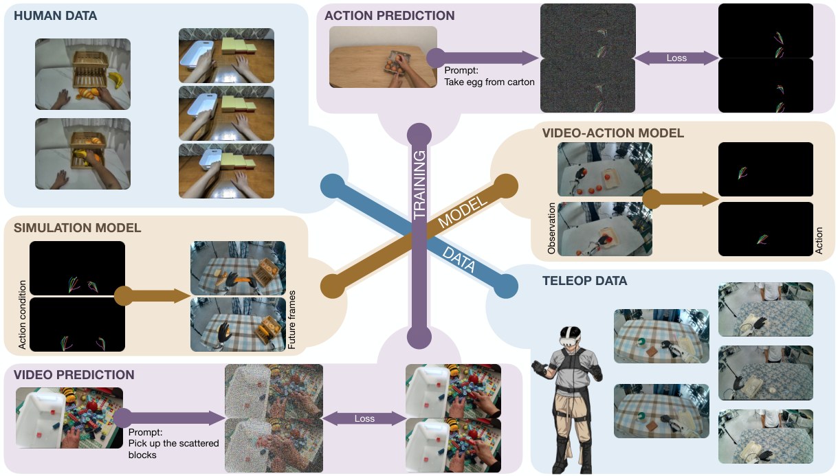 Diagram of human video, teleop, simulation, and an IRON-like humanoid used to train a joint world-action model