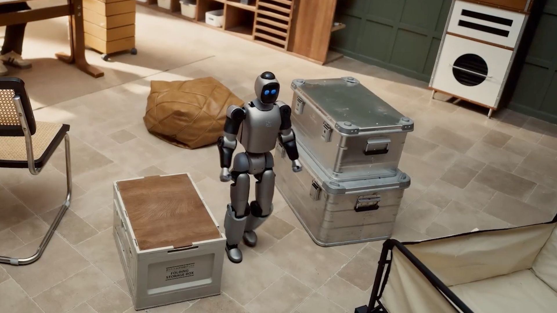 Bridge standing among storage boxes in a living space
